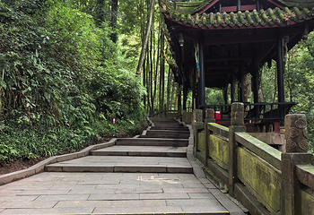 青城山第 225 张图片