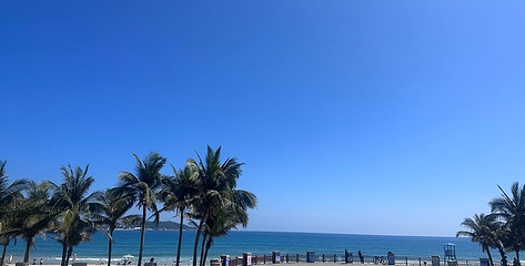 海棠广场第 26 张图片