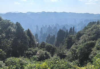 天门山国家森林公园第 230 张图片
