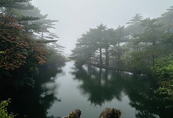 黄山风景区第 452 张图片