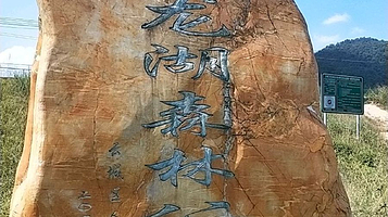 云龙湖森林公园