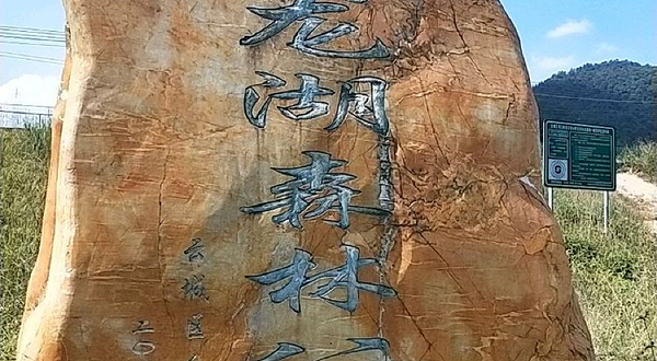 云龙湖森林公园