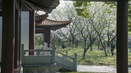 青山公园第 1 张图片