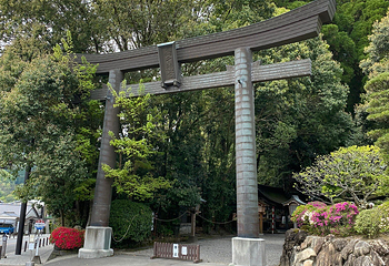 高千穗神社第 15 张图片