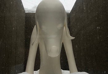 青森县立美术馆第 25 张图片