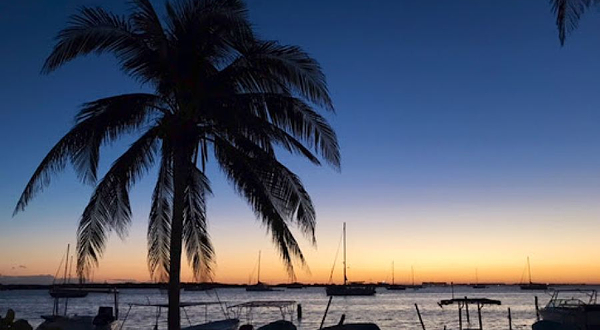 Monumento Tiburón Ballena