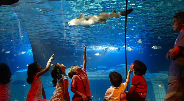 波尔图海洋生物馆