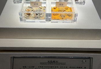 南越王博物院(王墓展区)第 128 张图片