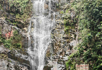鼎湖山第 22 张图片