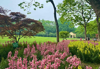 西湖风景名胜区第 252 张图片