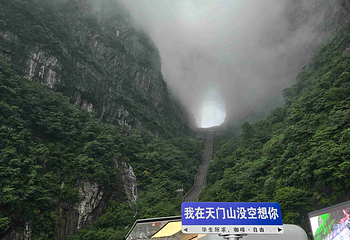 天门山国家森林公园第 360 张图片
