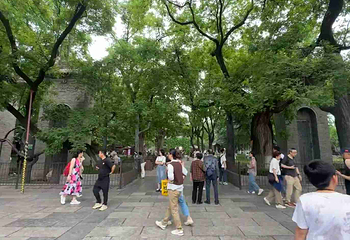 西安博物院第 192 张图片