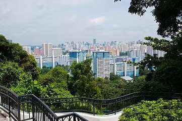 花柏山公园第 162 张图片