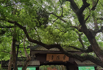 灵隐飞来峰景区第 88 张图片
