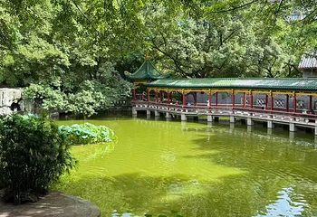 鹅岭公园第 87 张图片