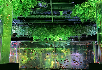 银座艺术水族馆美术馆第 26 张图片