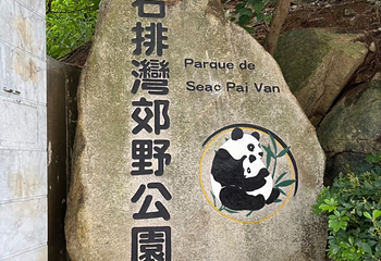 石排湾郊野公园第 39 张图片