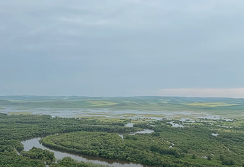 额尔古纳湿地第 85 张图片