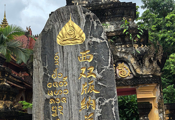 曼听御花园第 158 张图片