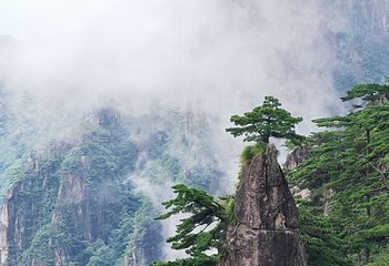 黄山风景区第 236 张图片