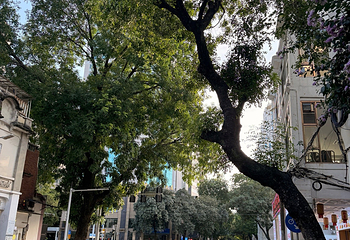 海珠广场第 26 张图片