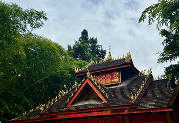 勐景来第 25 张图片
