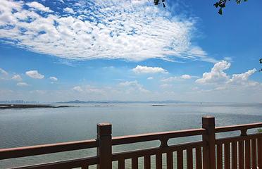 君山岛景区第 31 张图片