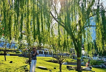 北京(通州)大运河文化旅游景区第 26 张图片