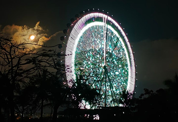 三亚海昌梦幻海洋不夜城第 147 张图片