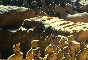 秦始皇帝陵博物院(兵马俑)第 313 张图片