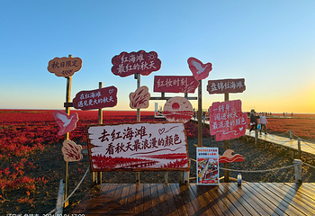 红海滩国家风景廊道第 97 张图片