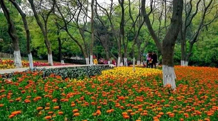 常德市植物园第 1 张图片
