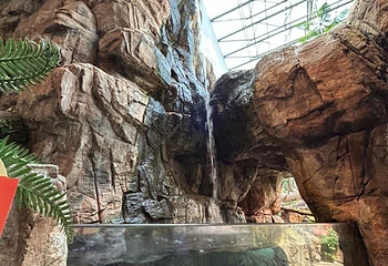 丹佛市区水族馆第 5 张图片
