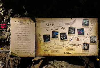 Cave Okinawa第 15 张图片