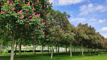 Stade athlétique de Provins