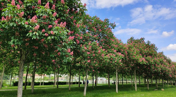 Stade athlétique de Provins