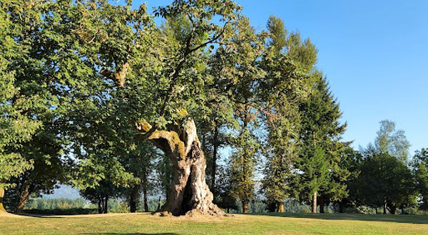 Fraser River Heritage Park