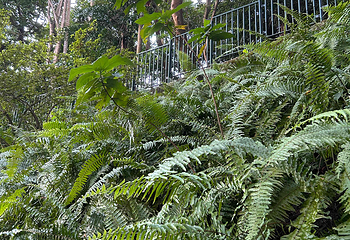 香港动植物公园第 15 张图片