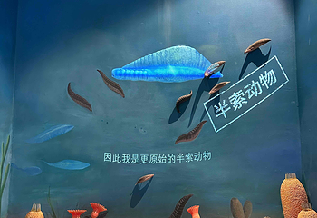 国家海洋博物馆第 56 张图片