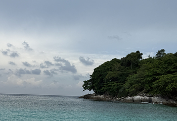 珊瑚岛第 23 张图片