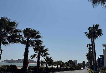 湄洲岛第 30 张图片