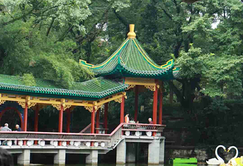 鹅岭公园第 108 张图片