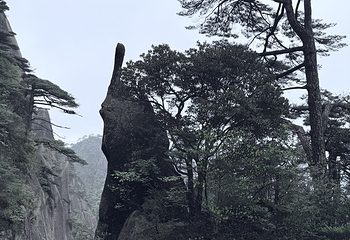三清山风景区第 269 张图片
