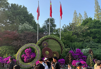 趵突泉景区第 183 张图片