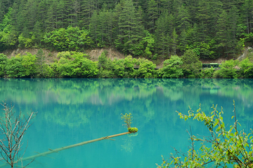 九寨沟风景区第 78 张图片
