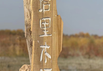 罗布人村寨第 39 张图片