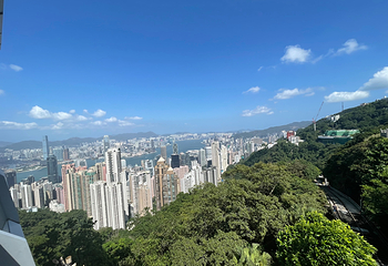 太平山顶第 152 张图片
