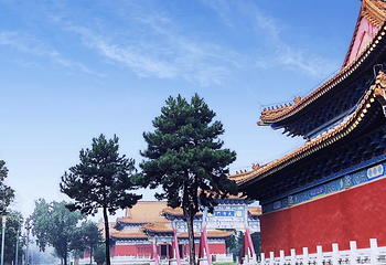 楼观台国家森林公园第 62 张图片