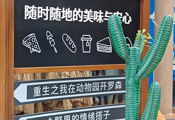 合肥野生动物园第 8 张图片