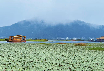 北海湿地第 125 张图片